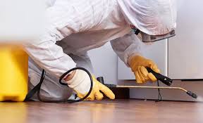 Real Estate Pest Inspections in Belcourt, ND